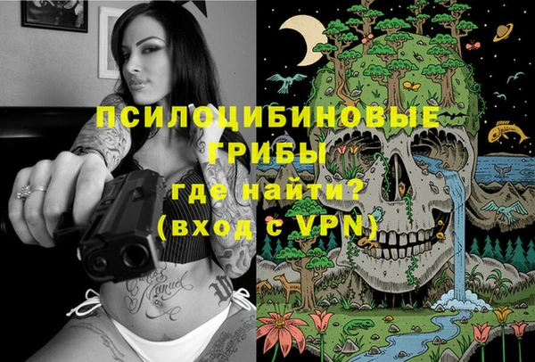 СК Краснослободск