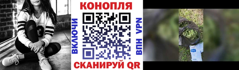 МАРИХУАНА OG Kush  Купить где  Инза 